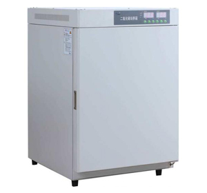 ̼BPN-80CH(UV)