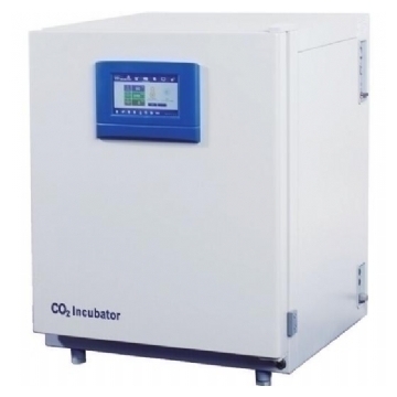 ̼BPN-190CH(UV)